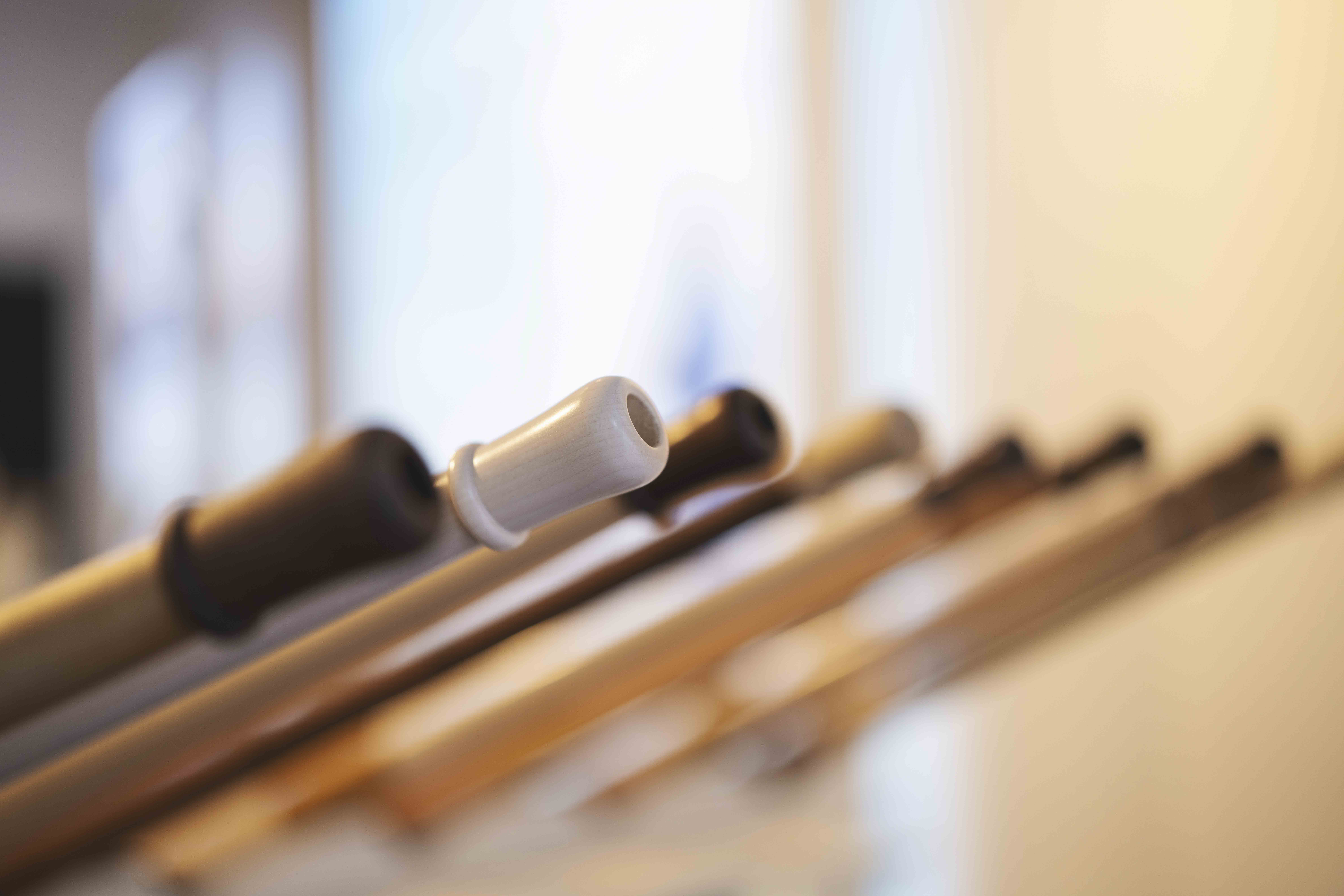 Suissewood Alphorn